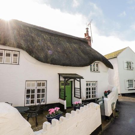 Teign Cottage Teignmouth Eksteriør bilde